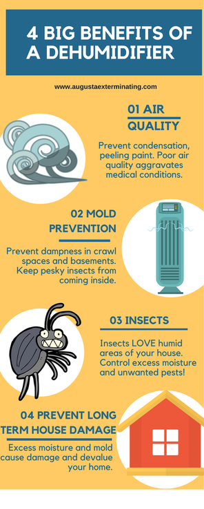 4 Big Benefits of a Dehumidifier