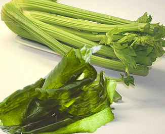 Sodium (Na) — Alkaline Mineral 