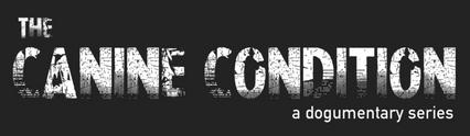 Season 1 - All Episodes Playlist on Discovered.TV