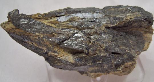 STIBICONITE pseudomorph after STIBNITE - San José Mine, Wadley, Mun. de Catorce, San Luis Potosí, Mexico - ex F. D'Esopo