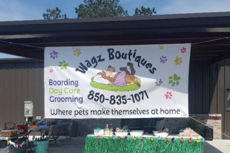 Wagz Boutiques Dog Boarding Dog Hotel Dog Daycare Pet Grooming