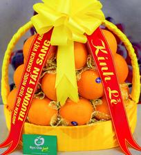 Hoa quả nhập khẩu tại Ngọc Châu fruits