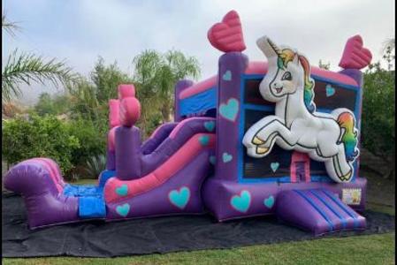 Dnn Party Rentals Water Slides For Rent Jumpers Bounce Houses