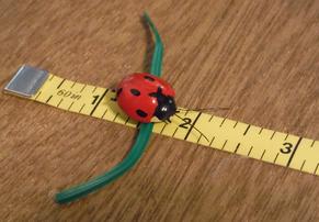 decorative ladybug plant ties, nursery ties
