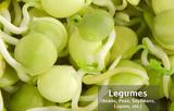 Legumes