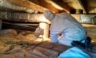 Fredericksburg VA Crawlspace Mold Remediation