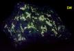 fluorescing FLUOBORITE, CHONDRODITE, PYRITE, CALCITE - Lime Crest Quarry (Lime Crest-Southdown Quarry), Sparta Township, Sussex County, New Jersey, USA - for sale