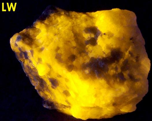 fluorescent WERNERITE SCAPOLITE MARIALITE MEIONITE, MUSCOVITE - Grenville Scapolite Prospect, Grenville-sur-la-Rouge, Argenteuil RCM, Laurentides, Quebec, Canada