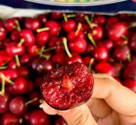 Công ty nhập khẩu và phân phối trái cây nhập khẩu - Ngọc Châu fruits