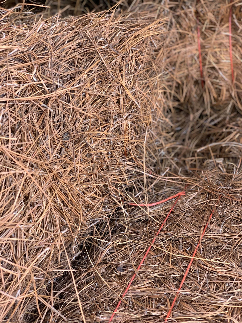 Pine Straw Savannah GA - Baled Long Needle - Chatham Property Maintenance