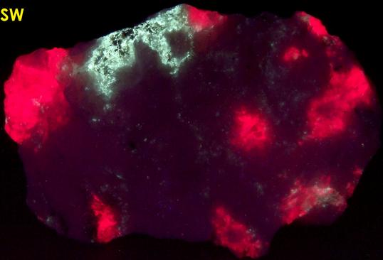 SW LW fluorescent TUGTUPITE, POLYLITHIONITE, AEGIRINE ACMITE - Tasseq Slope - West (Taseq Slopes), Tasseq area, Ilimaussaq complex, Narsaq, Kujalleq (Kitaa Province; West Greenland), Greenland, Denmark