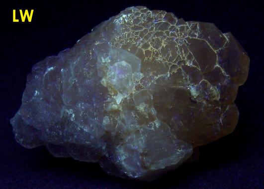 fluorescent CALCITE, York Building Supply quarry (Roosevelt Avenue Quarry; Roosevelt quarry; York Stone Quarry; Delta Carbonate quarry), York, York County, Pennsylvania, USA