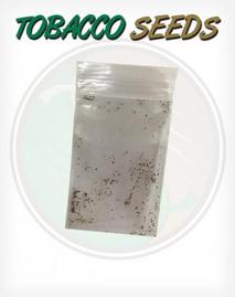 Tobacco Seeds for growing your own Tobacco