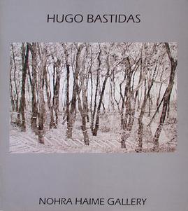 Hugo Bastidas: Bridges, Paths and Portals