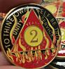 Custom Coin Series for AA Sobriety Alcholics Anonymous Birthday, Sobriety Inspired by Bex Coin Minting