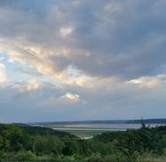 Landscape of a forest and a lake