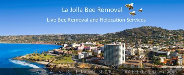 bee removal service La Jolla