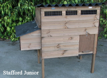 Stafford chicken coop and nesting box
