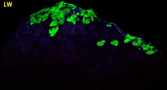 fluorescent WILLEMITE and HYDROZINCITE, ZINCITE, FRANKLINITE,Sterling Mine, Sterling Hill, Ogdensburg, Franklin Mining District, Sussex County, New Jersey, USA
