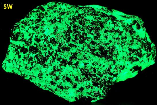 FRANKLINITE and fluorescent green WILLEMITE - Franklin Mine, Franklin, Franklin Mining District, Sussex County, New Jersey, USA – Franklinite type locality - ex Mineral Showcase