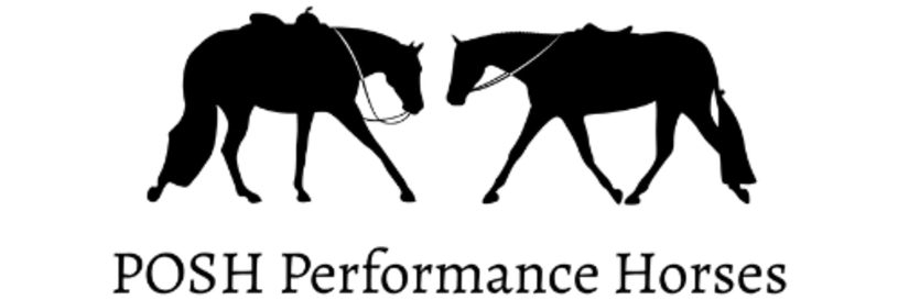 Home [poshperformancehorses.com]