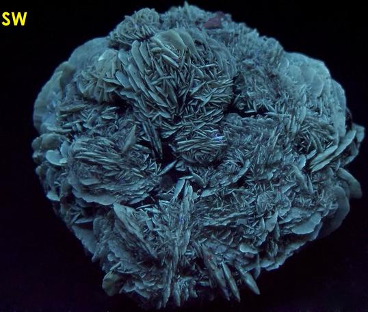 fluorescent phosphorescent GYPSUM SELENITE, Red River floodway, Winnipeg, Manitoba, Canada