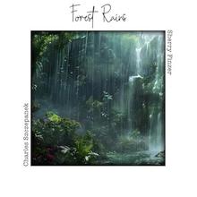 Forest Rains