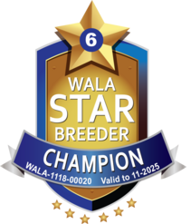 WALA Star Reward Program