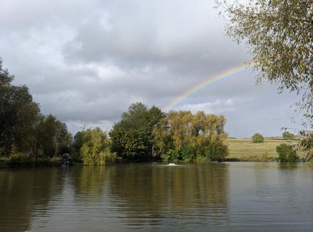 Peg 81 on Cary is a pot of Gold