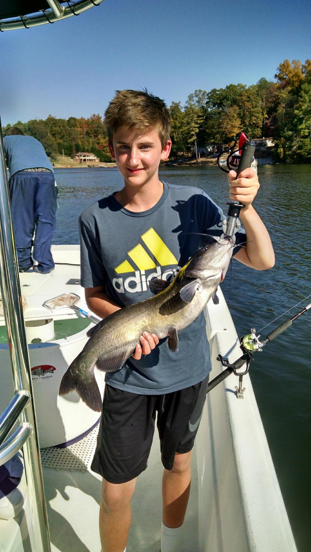 Chandrabhaga Tours And Travels