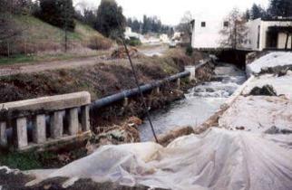 Ivy House Creekside Garden Project Community Pride Volunteers Placerville California