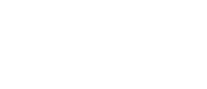 Avvocato Litigation Support International Inc.