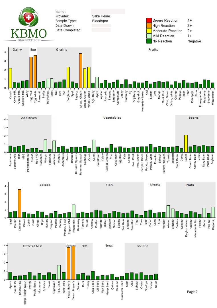 FIT 176 Report page 2