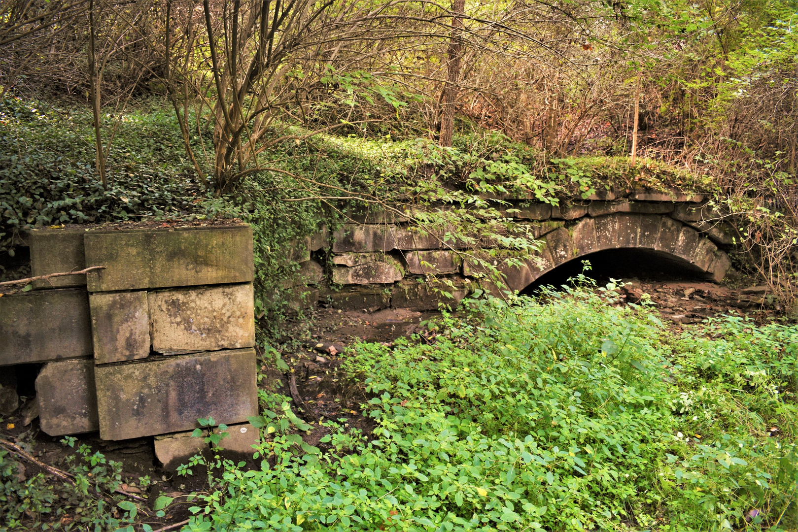 The entrance to the Cincinnati and Whitewater Canal Tunnel. Not much of the tunnel can be seen really. Just part of the arch is visible. Most of the tunnel is now infilled. There is a lot of foliage around what remains of the stone built tunnel entrance.