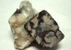 GALENA, QUARTZ, fluorescent FLUORITE, ANGLESITE - Blanchard Mine (Portalas-Blanchard Mine; Portales-Blanchard Mine; Hansonburg Lead mine; McCarthy Lead mine), Bingham, Hansonburg District, Socorro County, New Mexico, USA - ex Parker Minerals - for sale