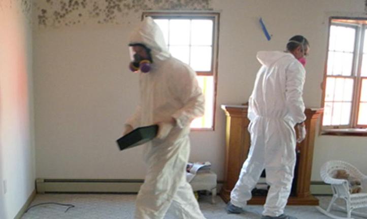 Professional Bed Bug Prep Cleaning Service and Cost Omaha NE | Price Cleaning Services Omaha