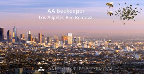 LA Bee Removal
