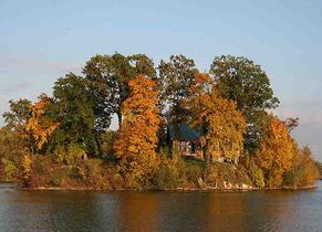 Fall trees lake shore of Sylvan Lake