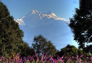Hire tempo traveller delhi to ranikhet, rent a tempo traveller delhi to almora Kausani, Book Minibus Delhi to Nainital Ranikhet, Rent a Luxury Tempo Traveller