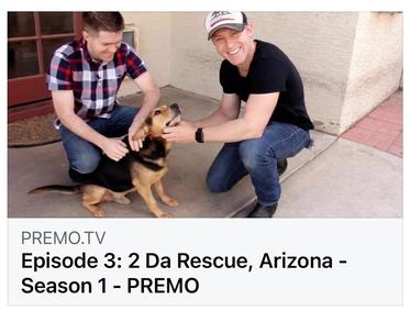 Episode 3 - The Canine Condition visits 2 Da Rescue