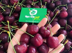 ​​​Giỏ hoa quả nhập khẩu tại Vĩnh Yên