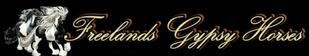 http://www.freelandsgypsyhorses.com/