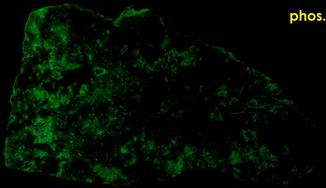 phosphorescent fluorescent WILLEMITE, ZINCITE, FRANKLINITE, CALCITE,Sterling Mine, Sterling Hill, Ogdensburg, Franklin Mining District, Sussex County, New Jersey, USA