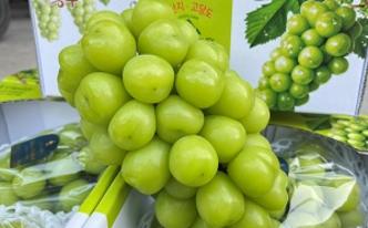 hoa quả nhập khẩu Ngọc Châu fruits 161 Nguyễn Trãi, Thanh Xuân