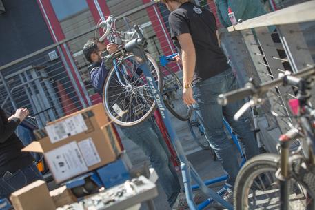 two males working on bicycle outdoors