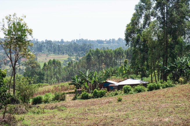 Communities and farmland near the Kakamega forest