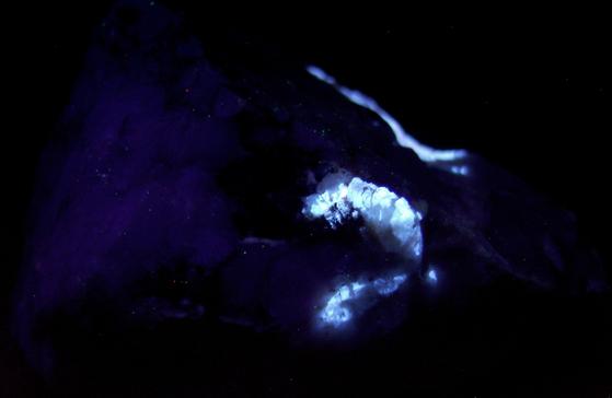 fluorescent SCHEELITE, QUARTZ, carbonates - Furniss Mine, Concord, Cabarrus County, North Carolina, USA