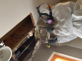 Mold Inspection Alta Loma. CA