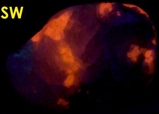 fluorescent SODALITE, Aegirine, Ilimaussaq complex, Narsaq, Kujalleq (Kitaa Province; West Greenland), Greenland - type locality of Sodalite