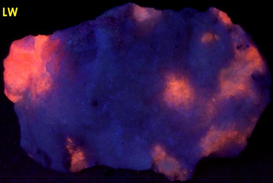 SW LW fluorescent TUGTUPITE, POLYLITHIONITE, AEGIRINE ACMITE - Tasseq Slope - West (Taseq Slopes), Tasseq area, Ilimaussaq complex, Narsaq, Kujalleq (Kitaa Province; West Greenland), Greenland, Denmark